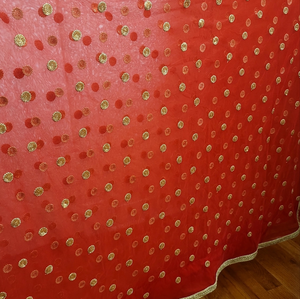 Indian Red Net Sari - image 6